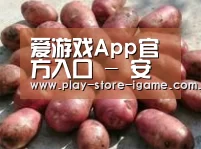 产品展示标题5