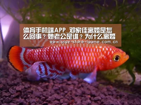 体育手机端APP_邓家佳离婚是怎么回事？她老公是谁？为什么离婚？(图3)