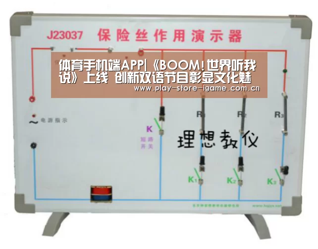 体育手机端APP